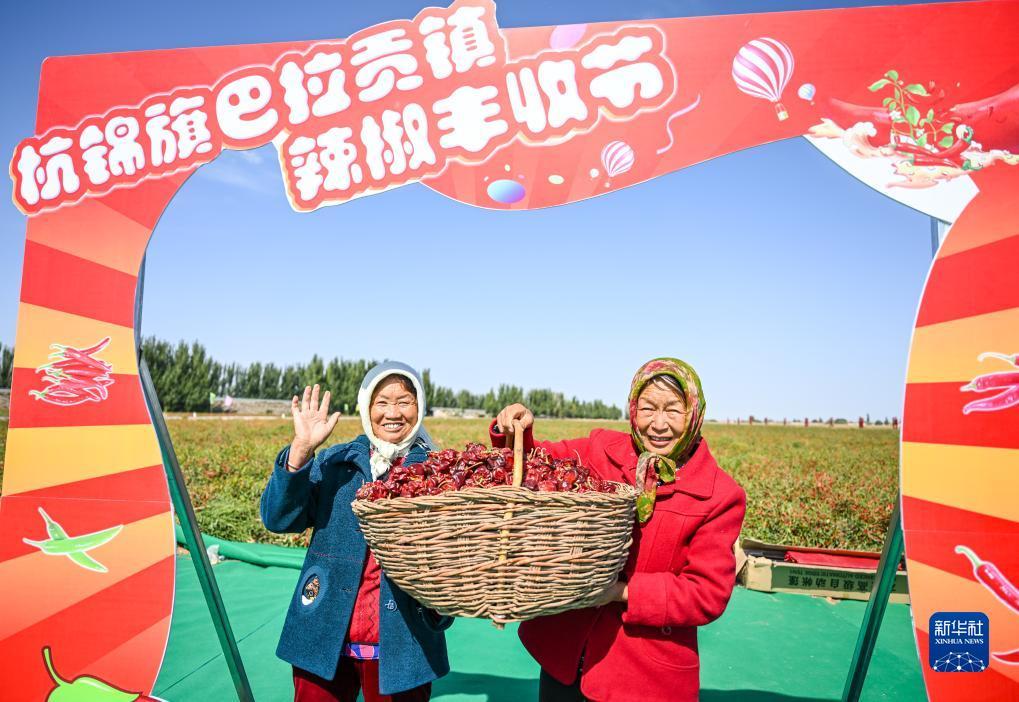bb老虎机怎么得